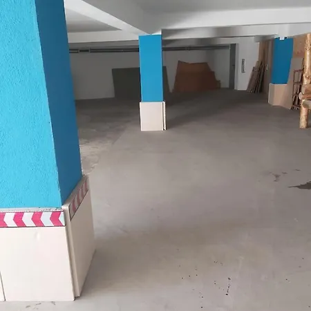 Apartment Tree House