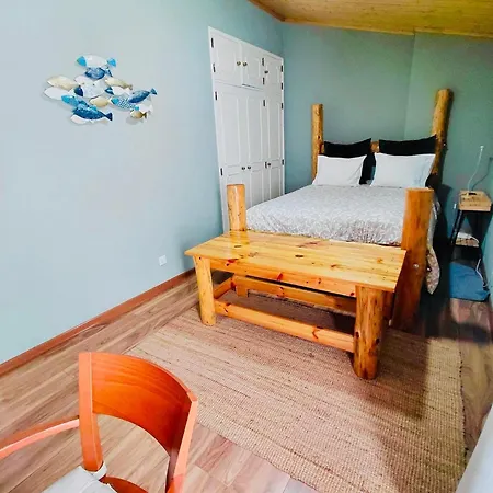 דירה Tree House שטובל